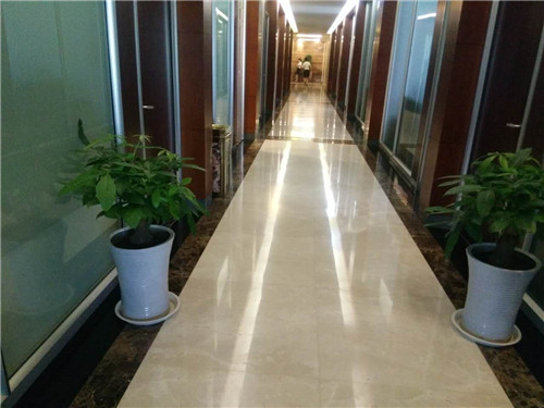 西安大明宮集團(tuán)綠植租賃