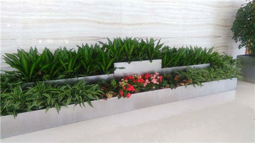 西安中海大廈花卉租賃