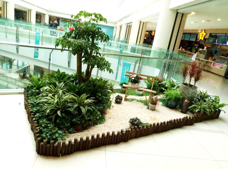 綠意盎然 | 綠植租擺，縱享生活品質(zhì)!