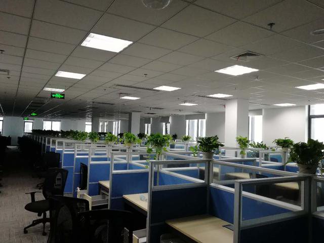 中國花卉租擺行業(yè)將進(jìn)入大整合時(shí)代！