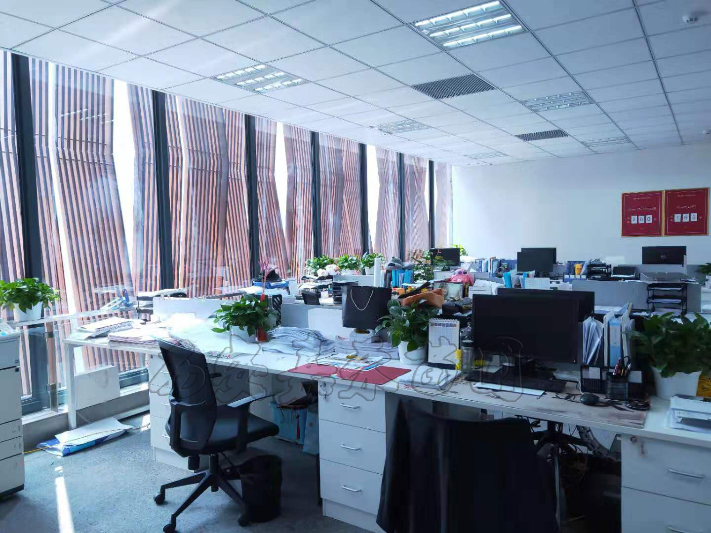 辦公室花卉租擺好處以及植物租賃的養(yǎng)植方法