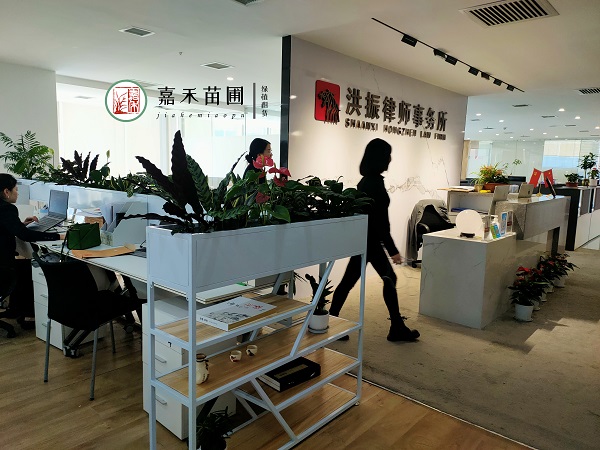 西安辦公室綠植租擺效果圖|西安嘉禾苗圃