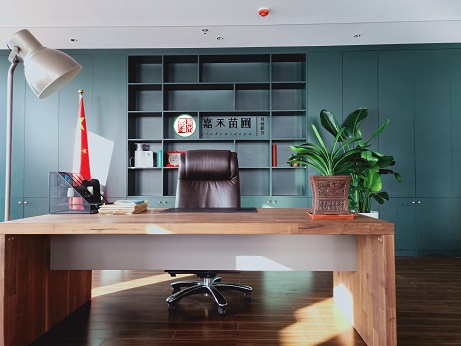 西安辦公室綠植擺放效果圖