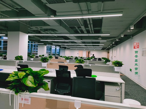 西安辦公室綠植花卉租擺風水禁忌|西安嘉禾苗圃