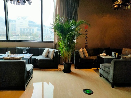 西安辦公室綠植價(jià)格明細(xì)表|西安嘉禾苗圃