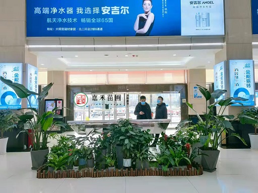 寫字樓辦公室花卉綠植租擺|西安嘉禾苗圃