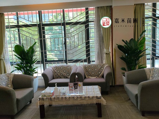 寫字樓辦公室花卉綠植租擺公司|西安嘉禾苗圃