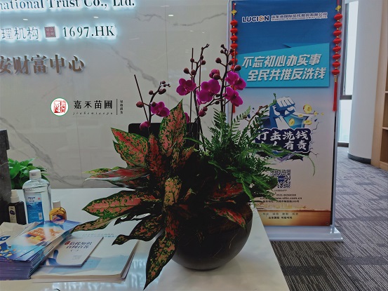 辦公室租賃綠植|西安嘉禾苗圃