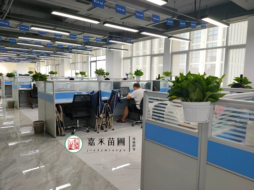 西安辦公室綠植租擺養(yǎng)護&ldquo;5大禁忌&rdquo;！