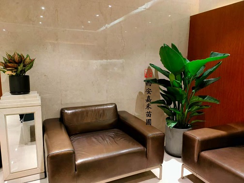 辦公室綠植租賃怎么擺放才能增加運勢？