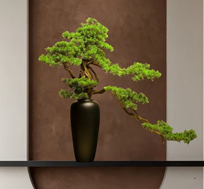 松樹盆景養(yǎng)護(hù)注意事項